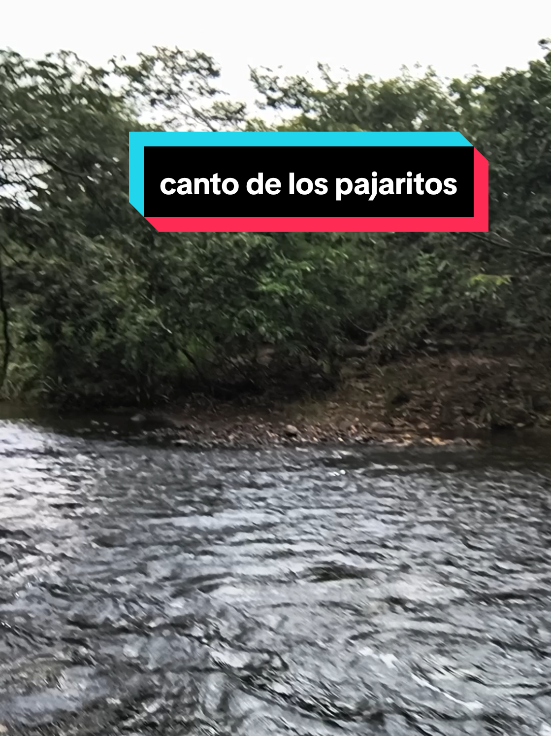 @Jesus sanchez™