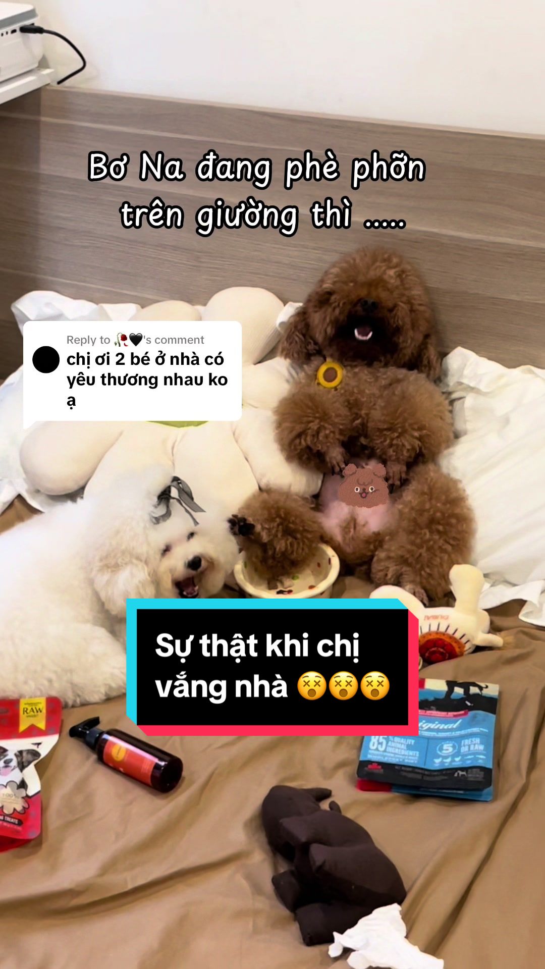 @Gia Đình AvocaBo
