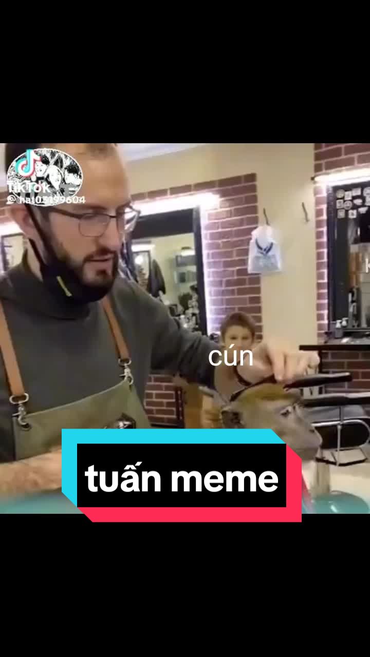 @Nguyễn Quốc Tuấn