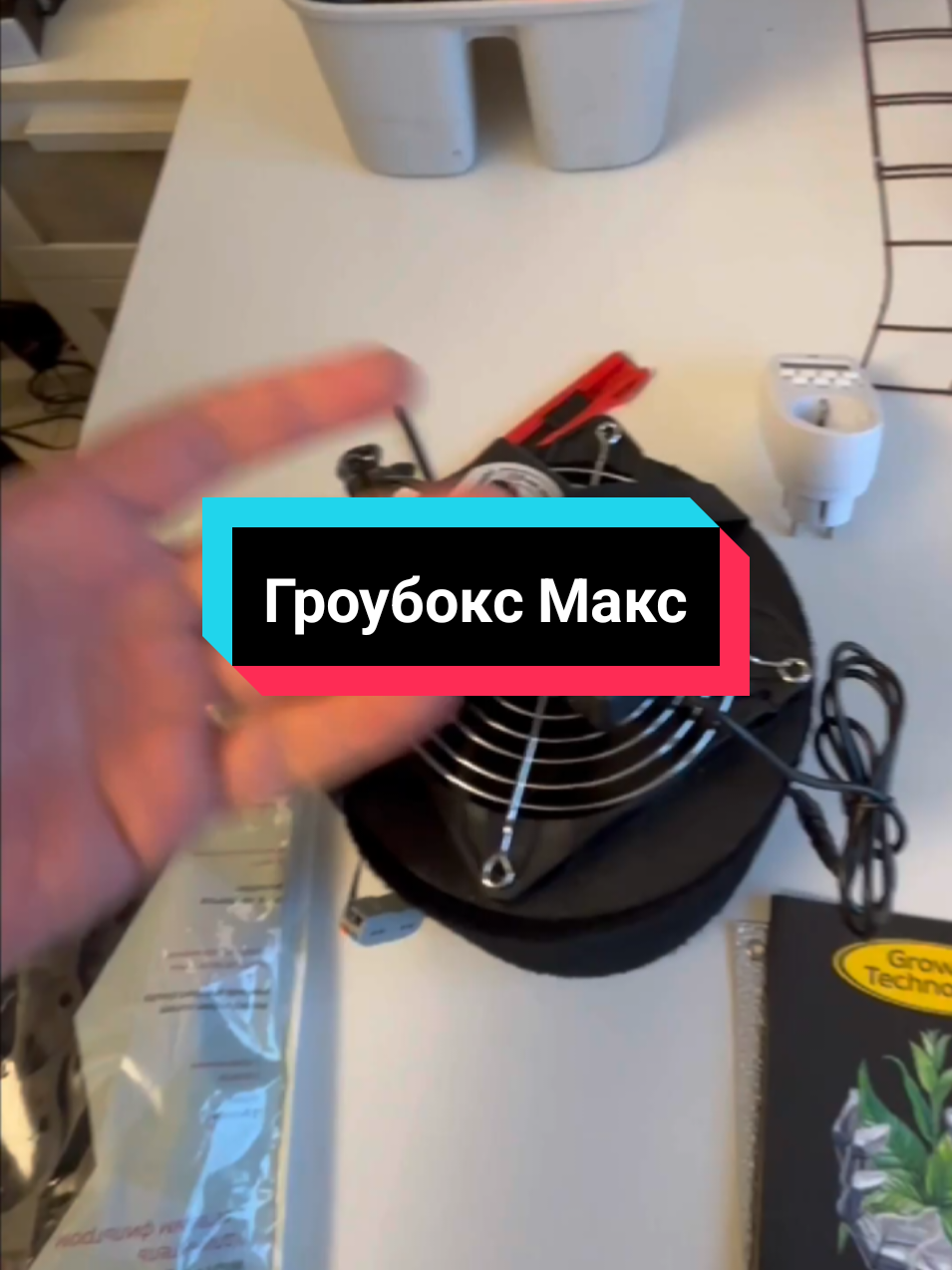 @Growtube