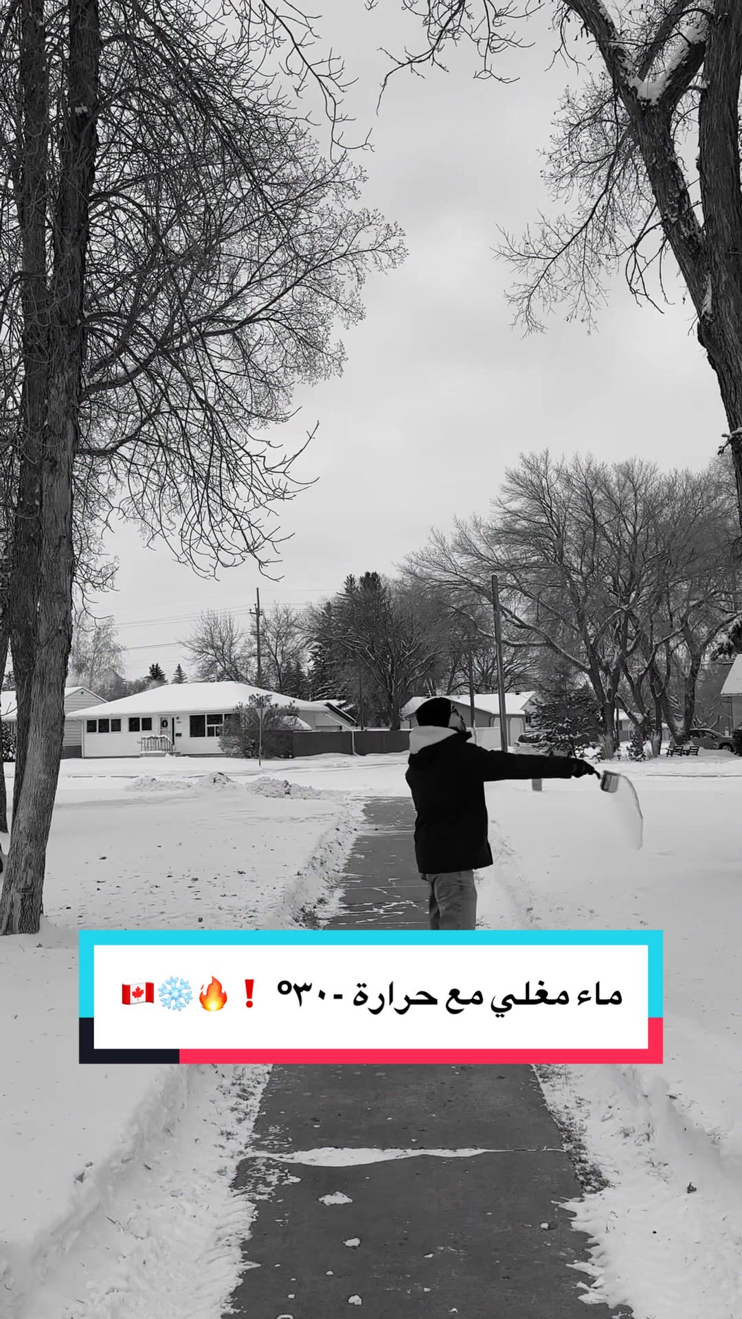 @Mohamad Younes | أبو عمر