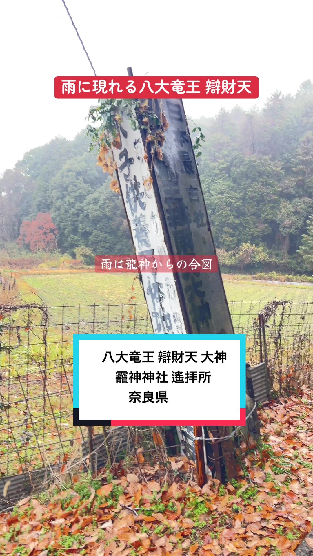 @星来⭐️セイ