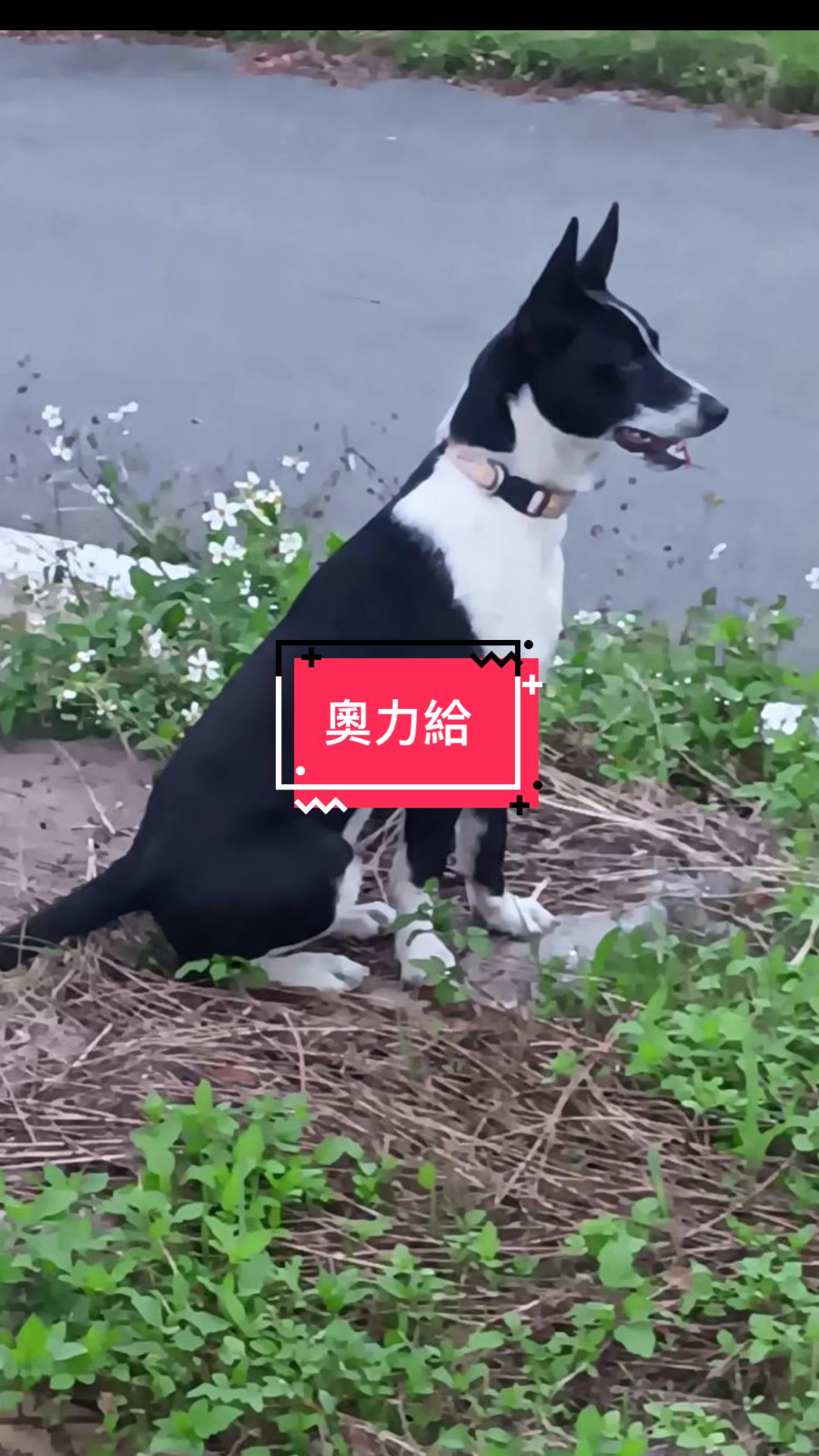 @珉兒