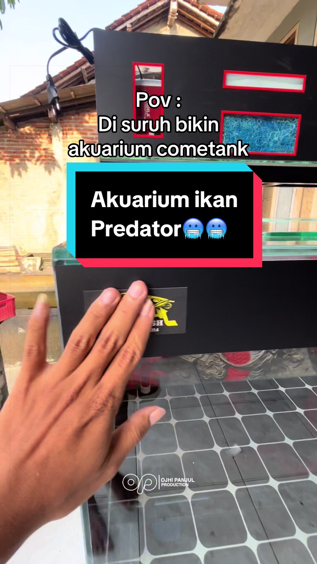 @Panjul Aquafish
