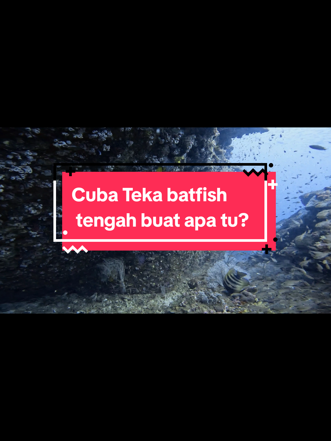 @Syura Abdullah