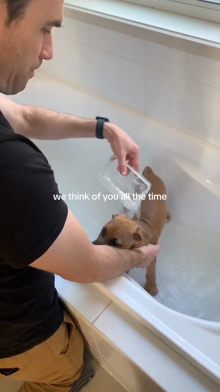 @Dominique 😉