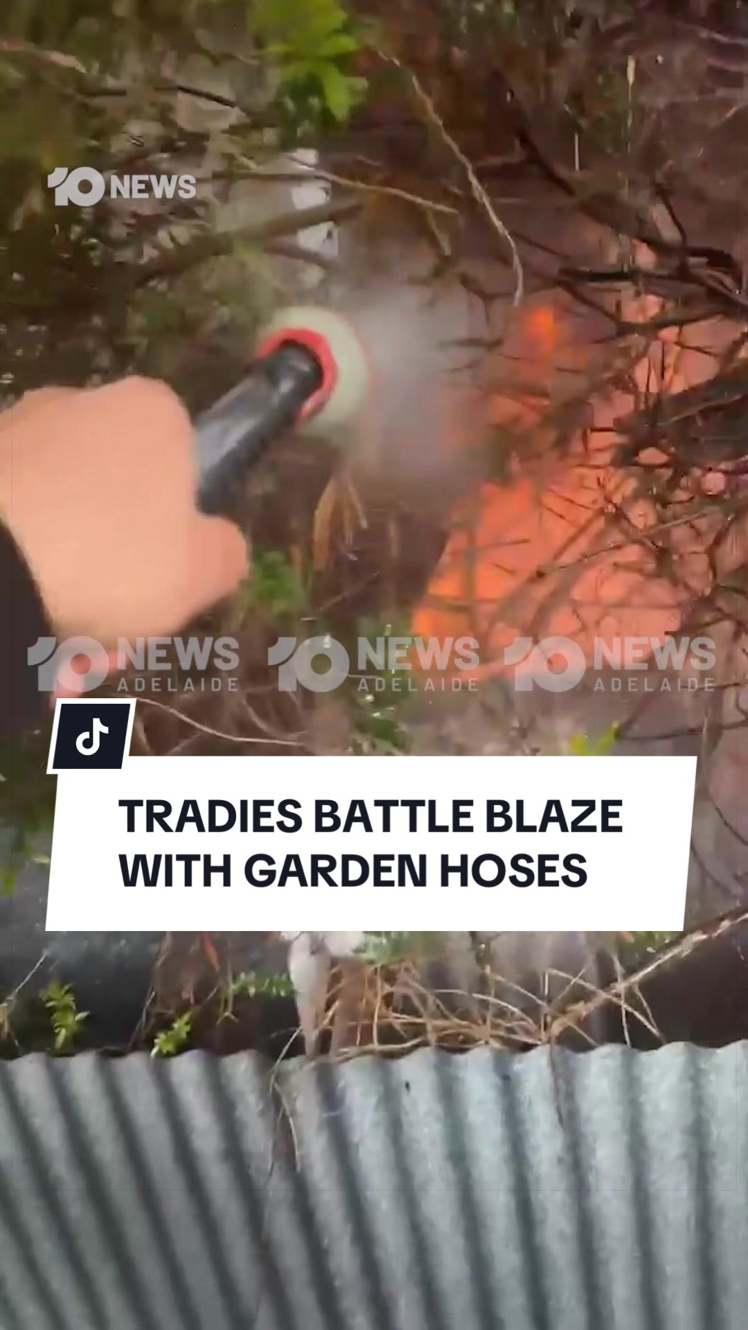 @10 News