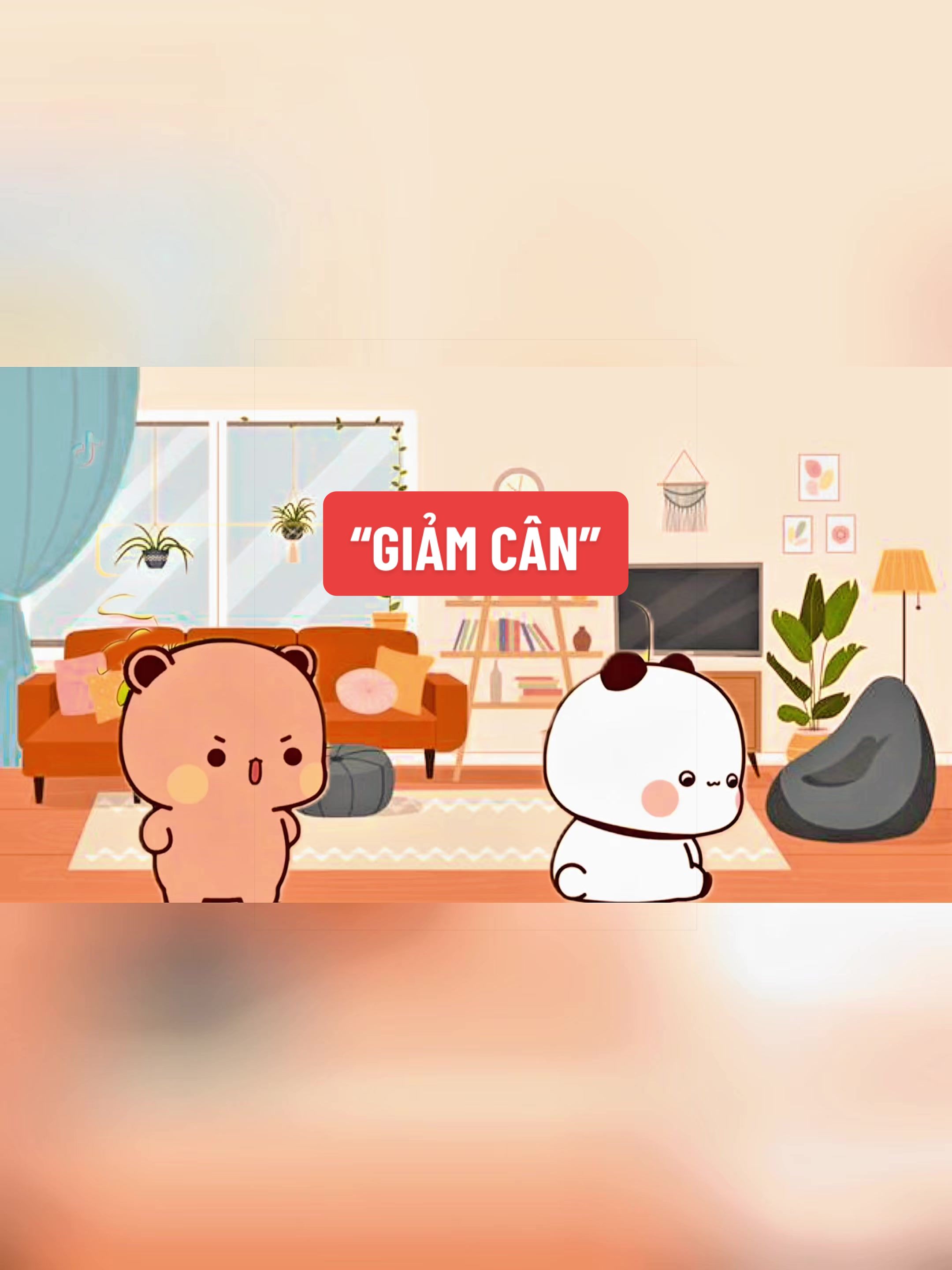 @bubu.dudu.collect