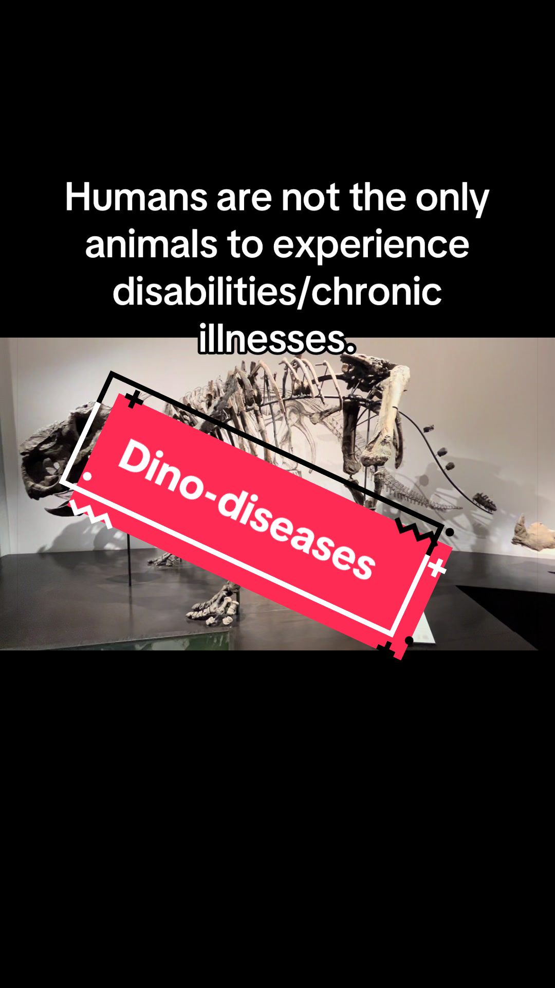 @Sarcastic_therapsid