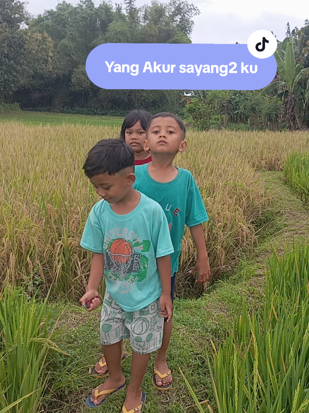 @Zilla Mescha