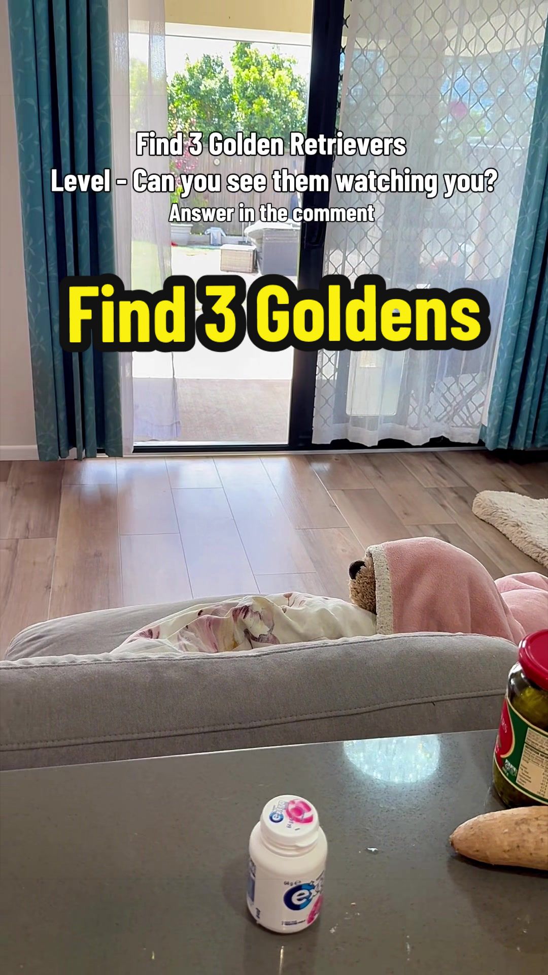 @3goldenretriever