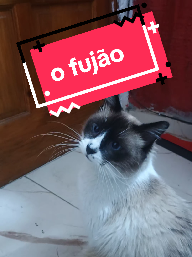 @Edimilson Alves