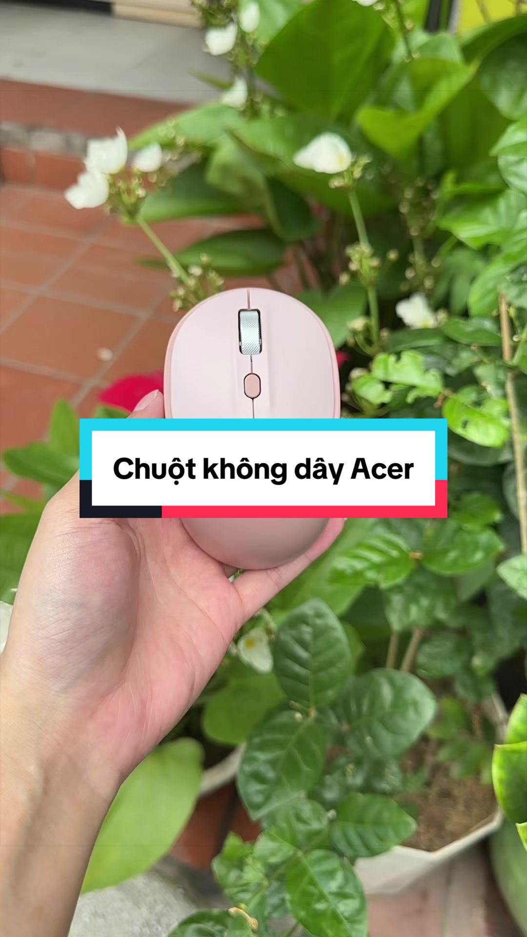 @Tuấn B&igrave;nh Thường