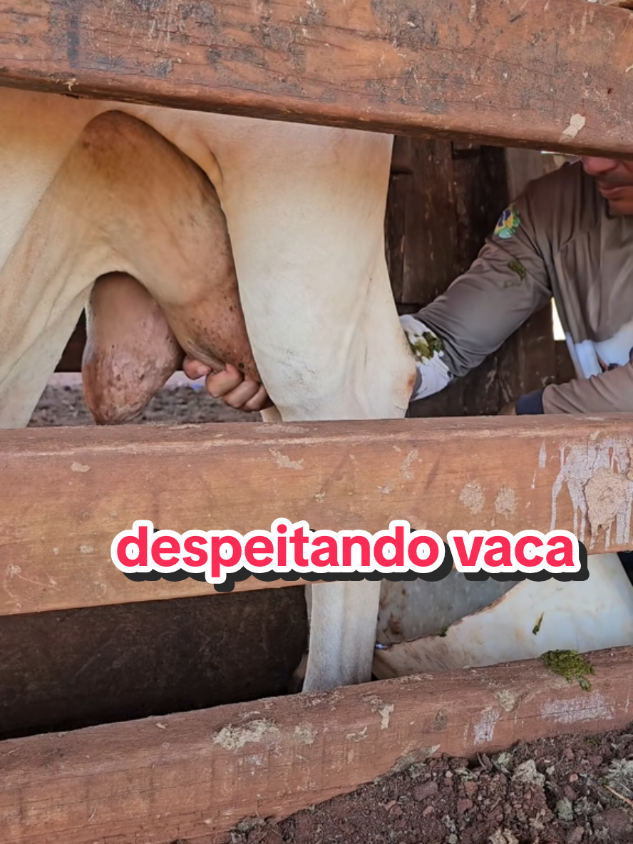 @Geovane neto
