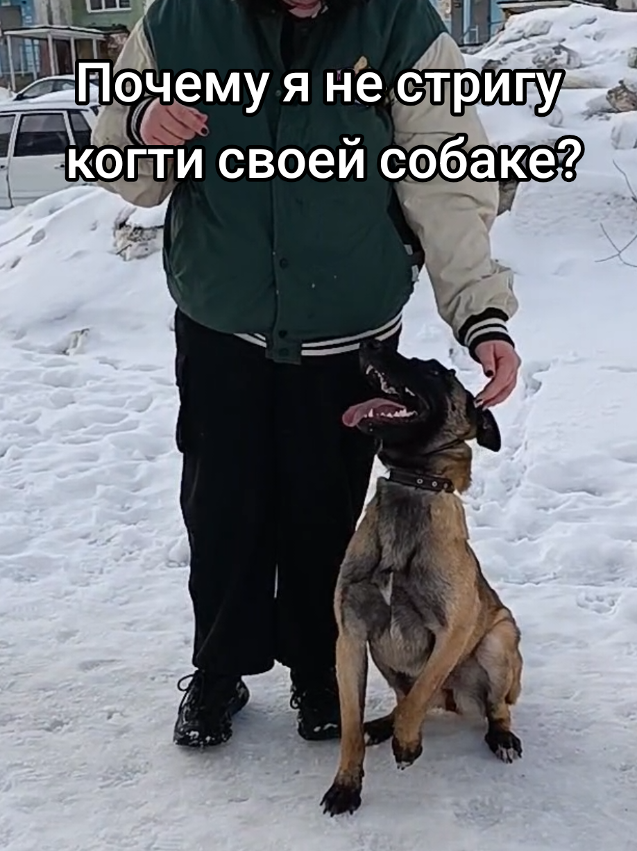 @⚡Кита from авито⚡