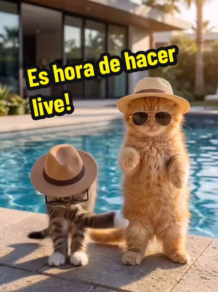 @Daru