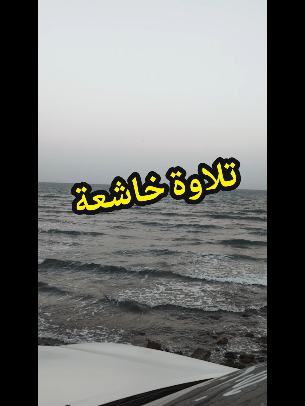 @احمد اليافعي