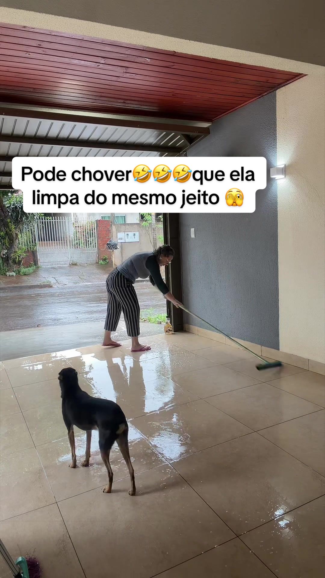 @cleiapadovan
