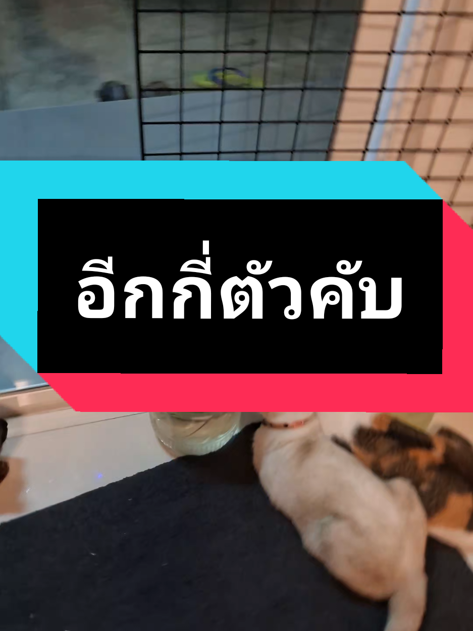 @ฮโหล....สมอง