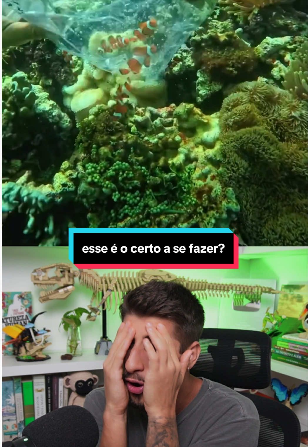 @Yago Stephano