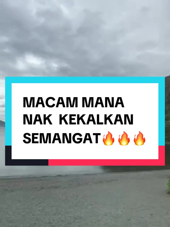 @Dawani Majid
