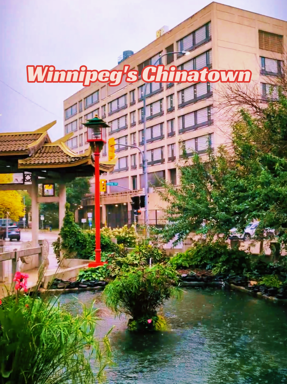 @Aileen 🇨🇦