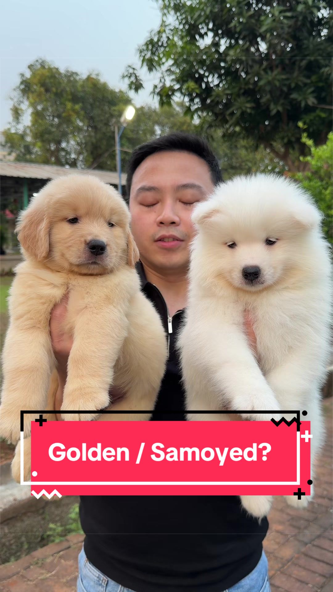 @Koko Guguk