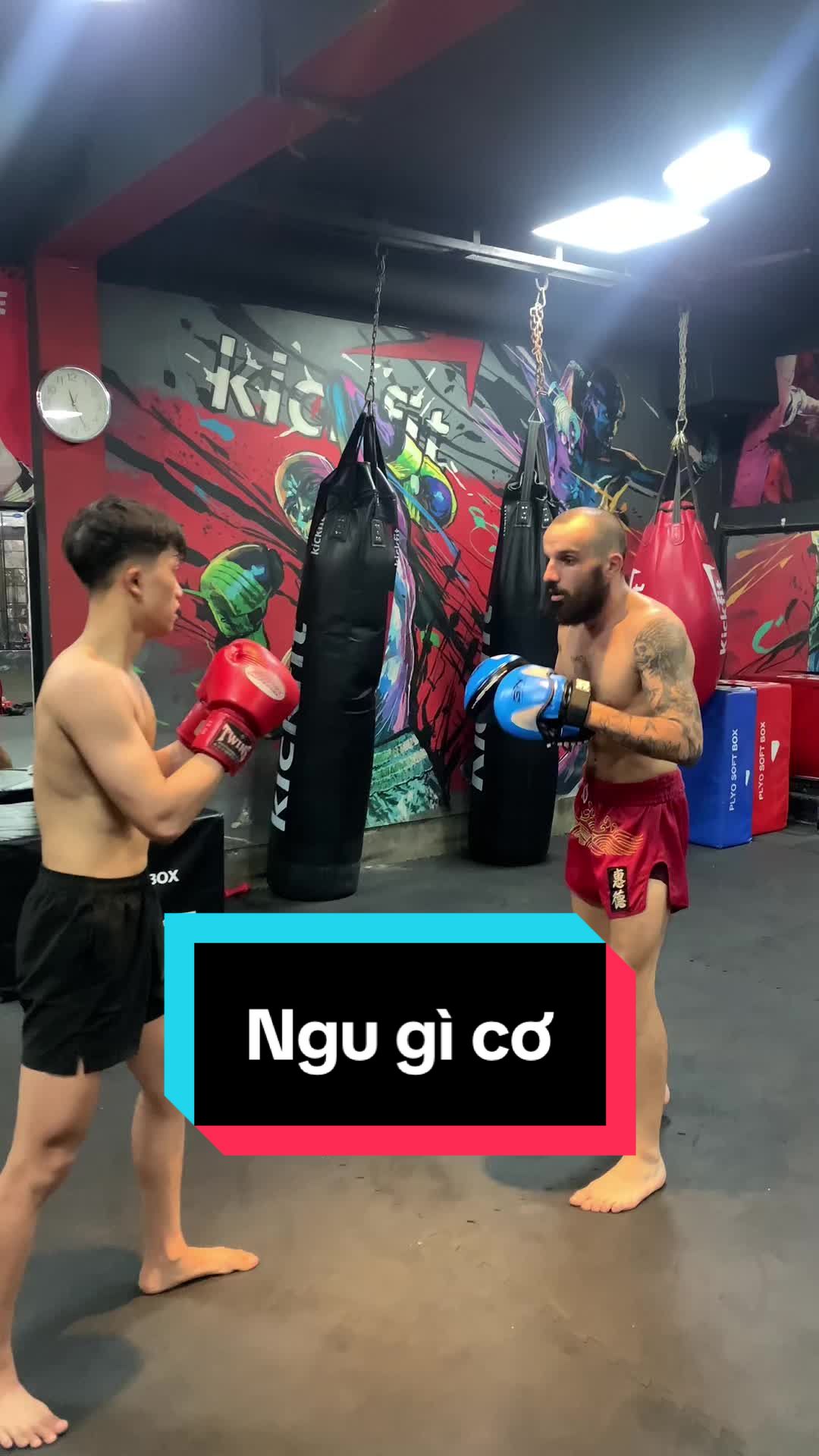 @Nguyen Thanh Dat