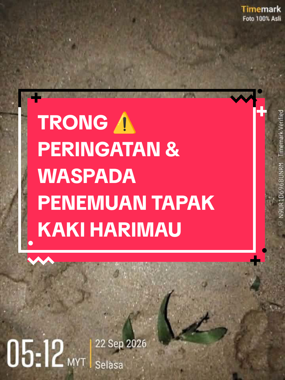 @HotDTaipinghdt
