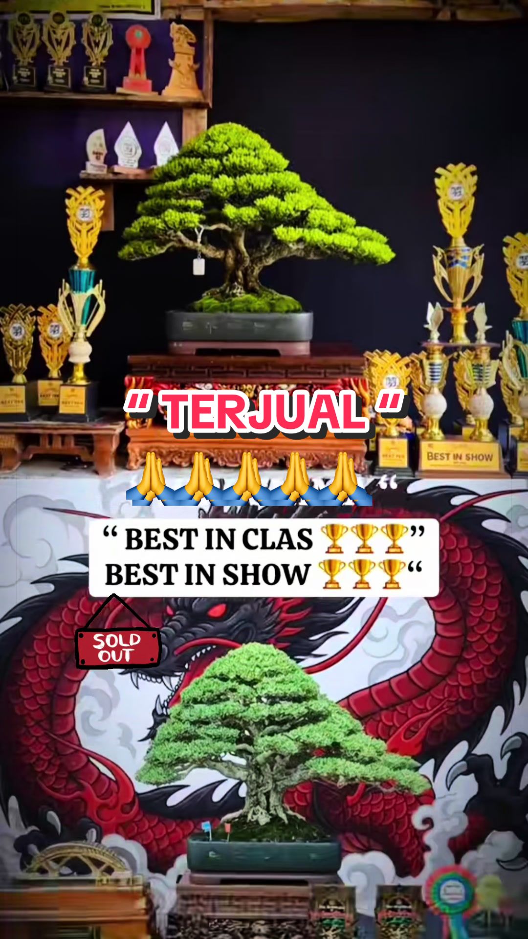 @warbonsai_purwodadi