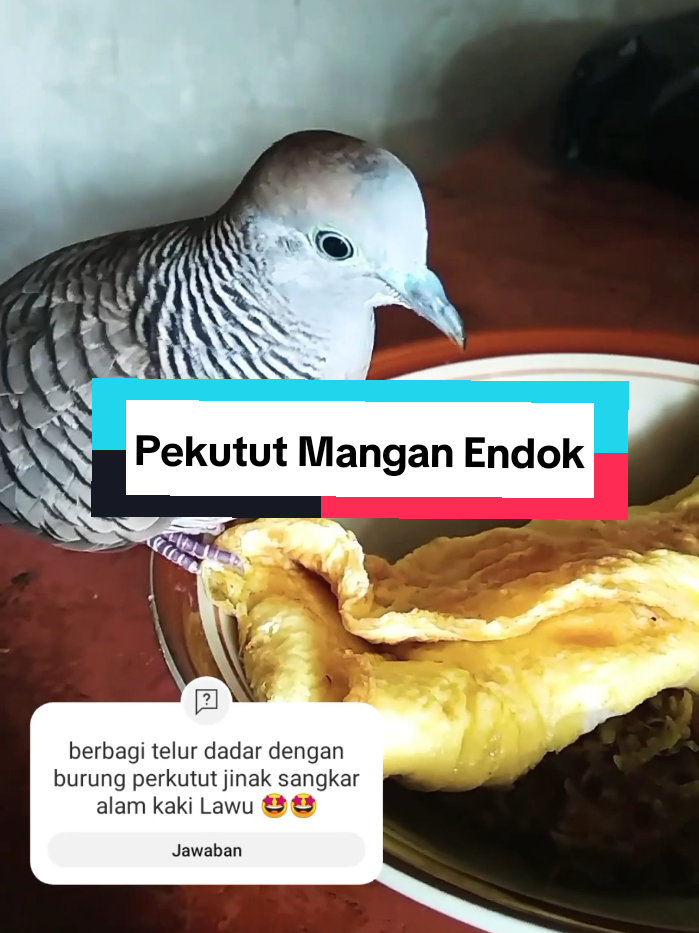 @Bintang Kecil