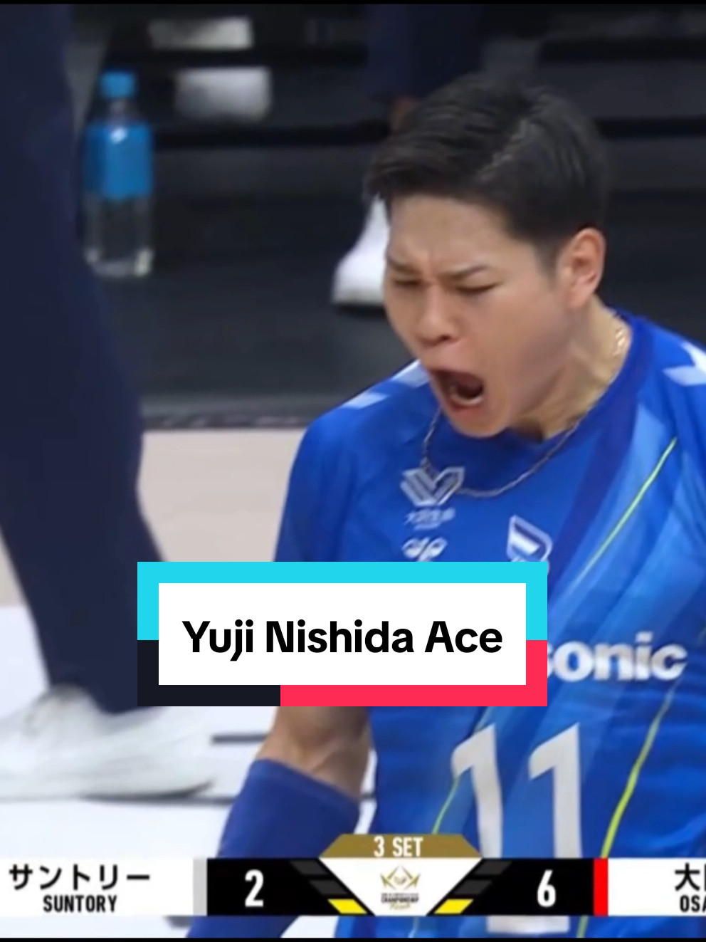 @라니아-Volleyball