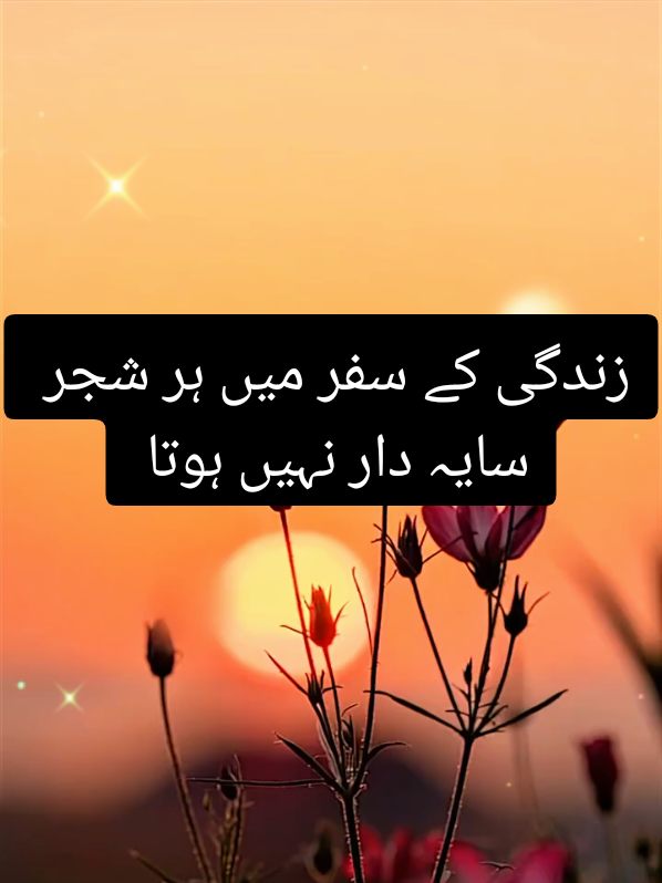 @عکس تحریر