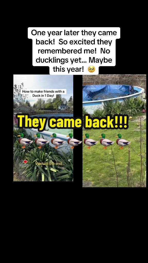 @Seannyzegs