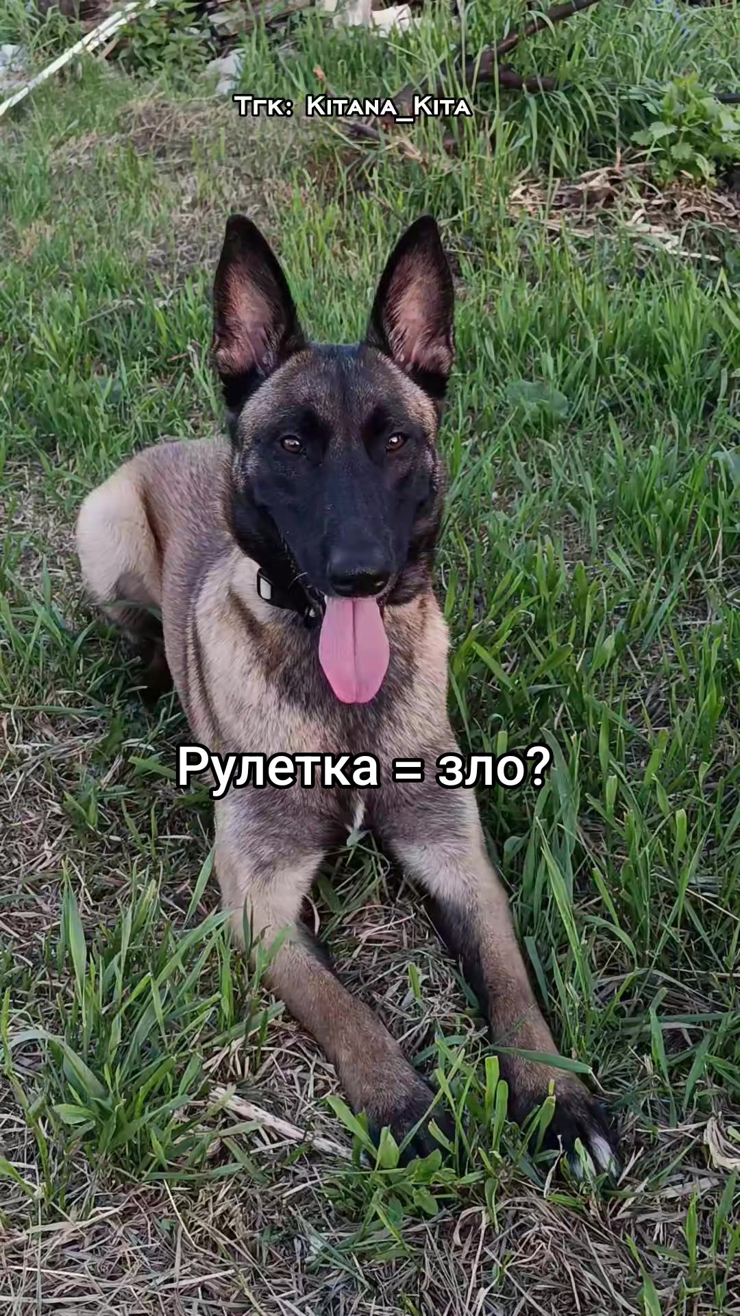@⚡Кита from авито⚡