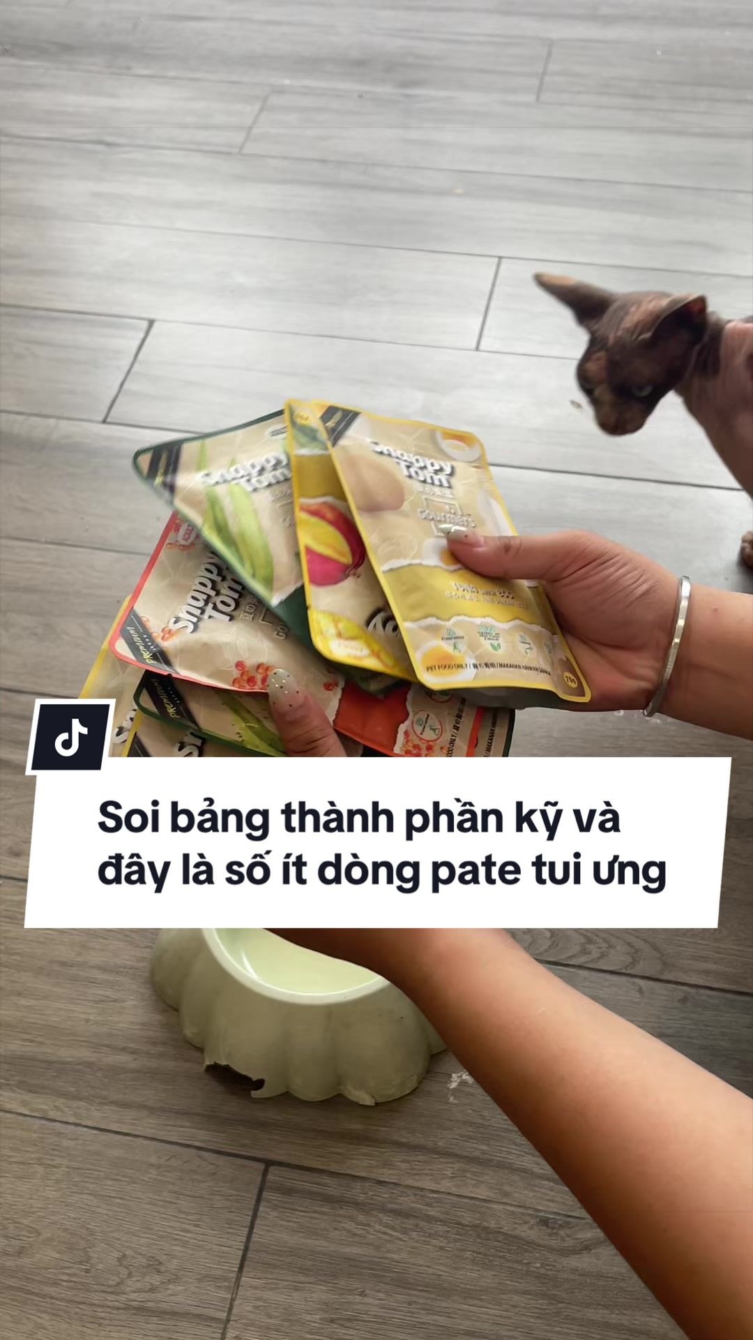 @Sếp Tôi Là Một Con Mè
