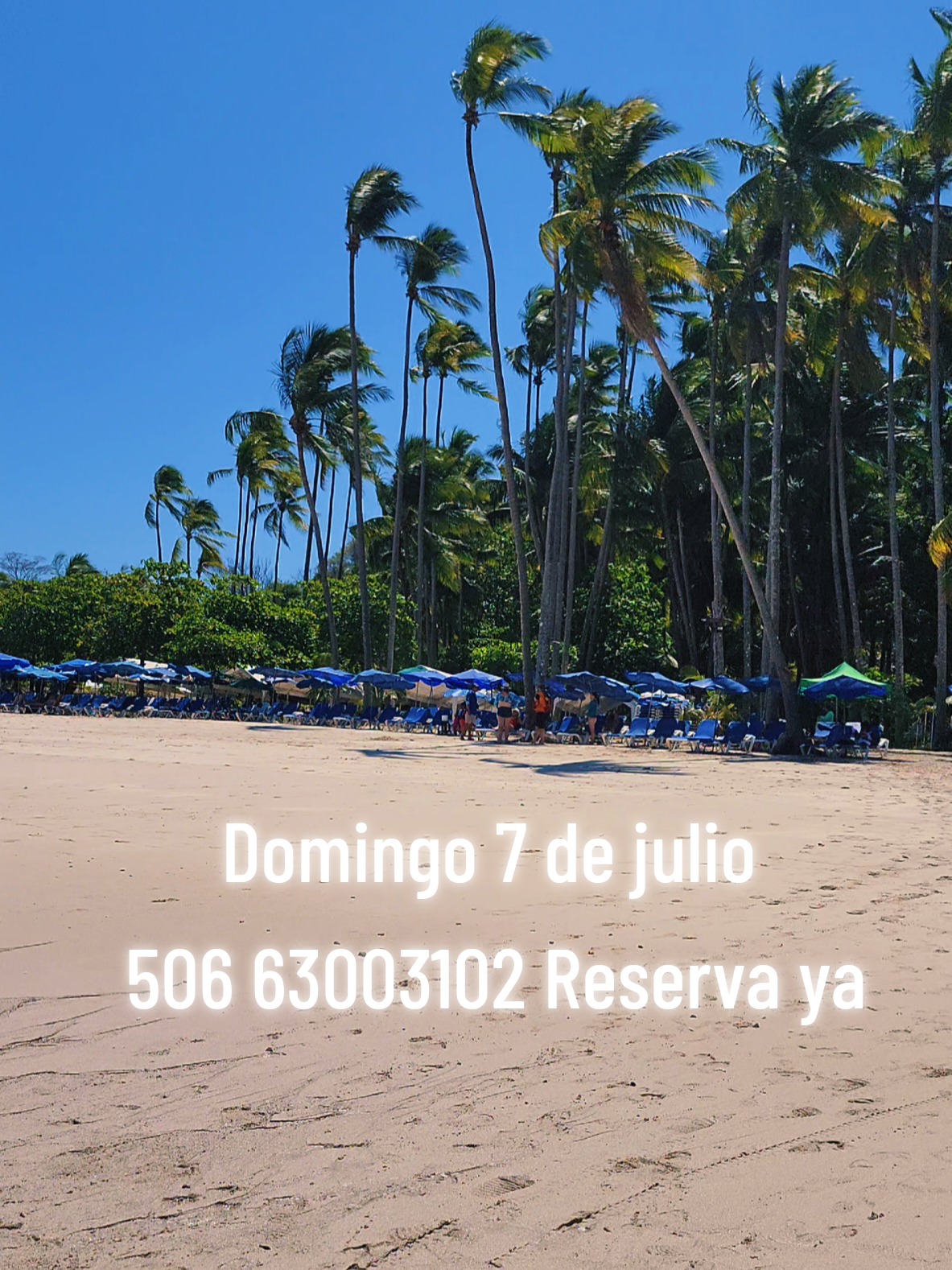 @Rasta Tours CR