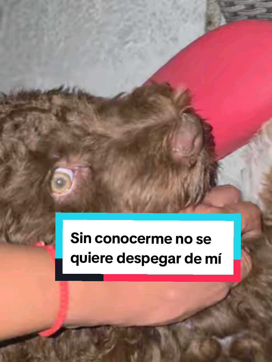 @Isabel