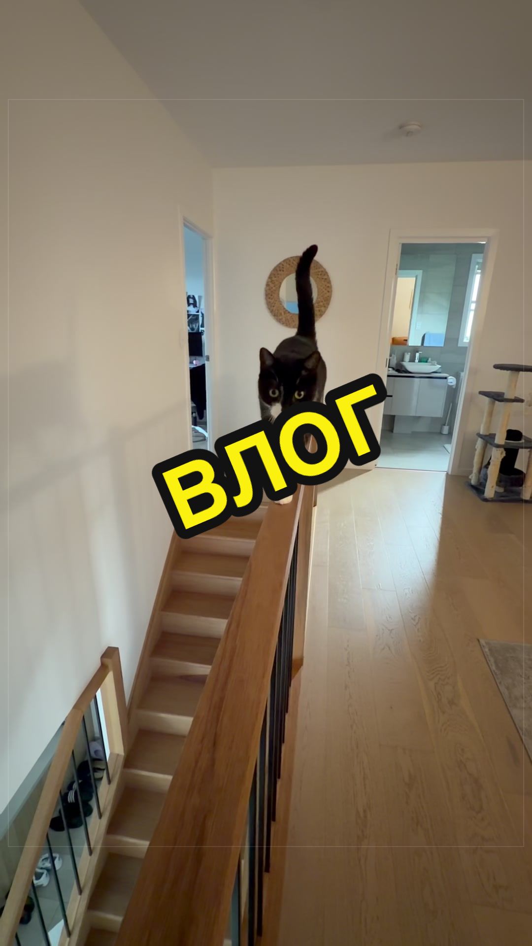 @💥КАТЯ ПАЙС💥