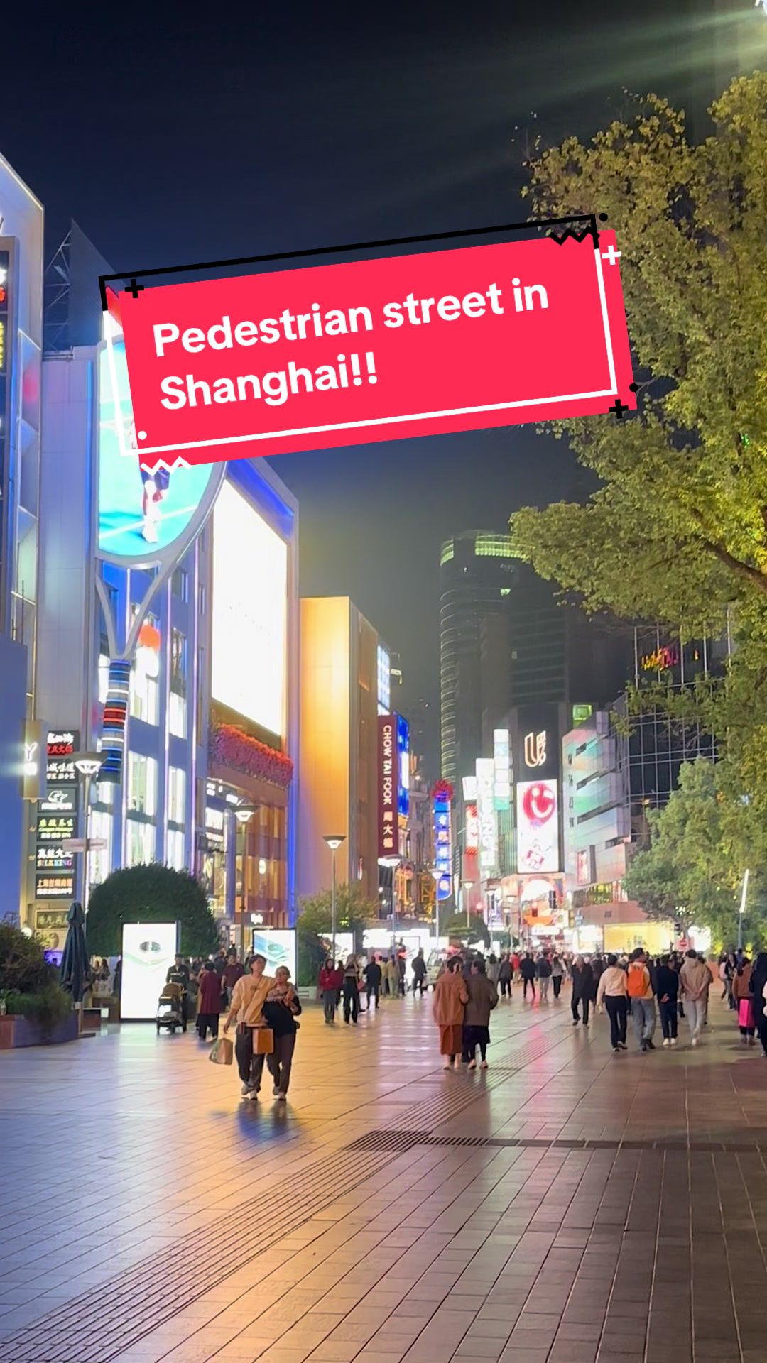 @Shanghaiguide