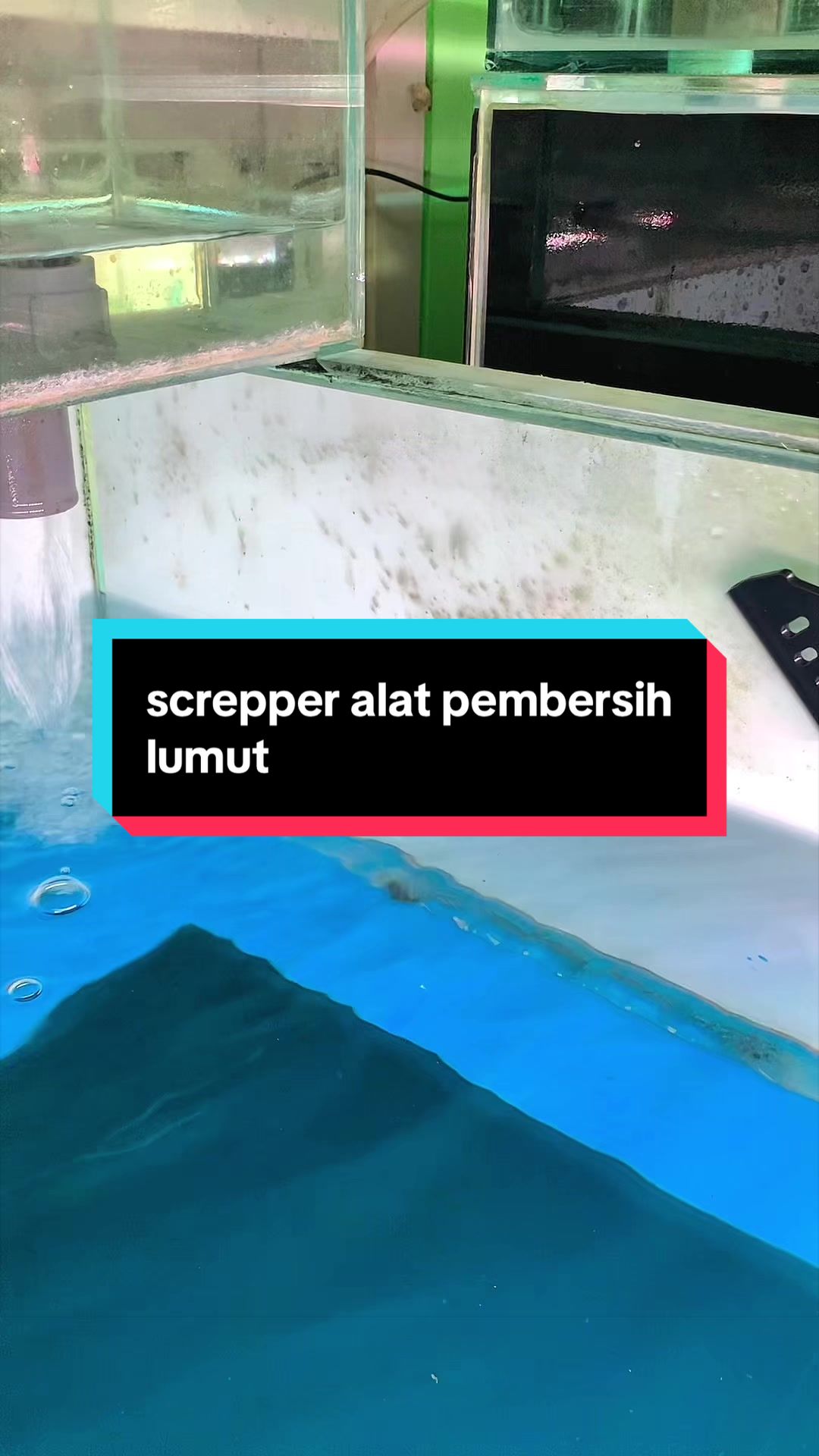 @Vann Arowana