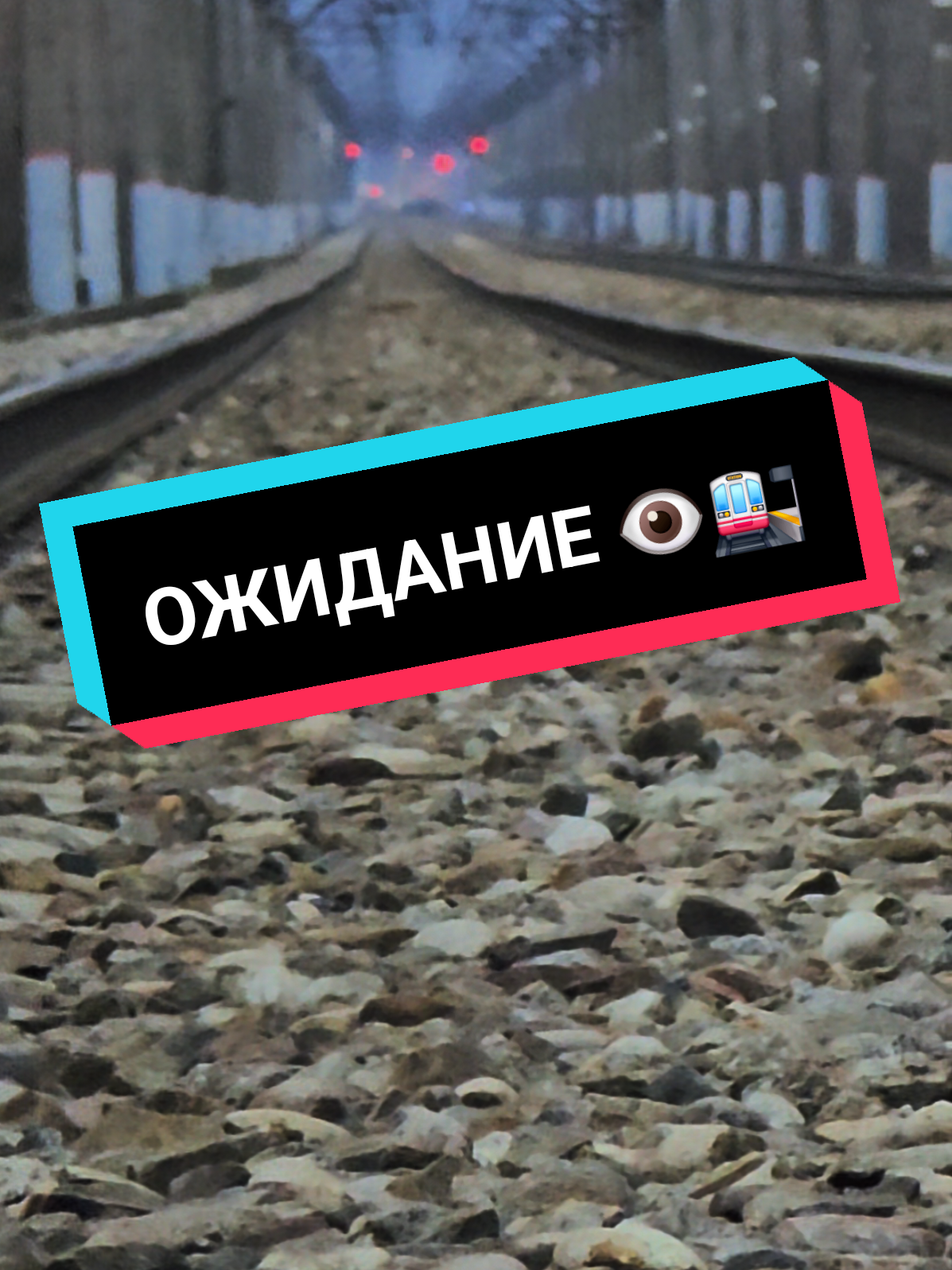 @Дмитрий Шейкин