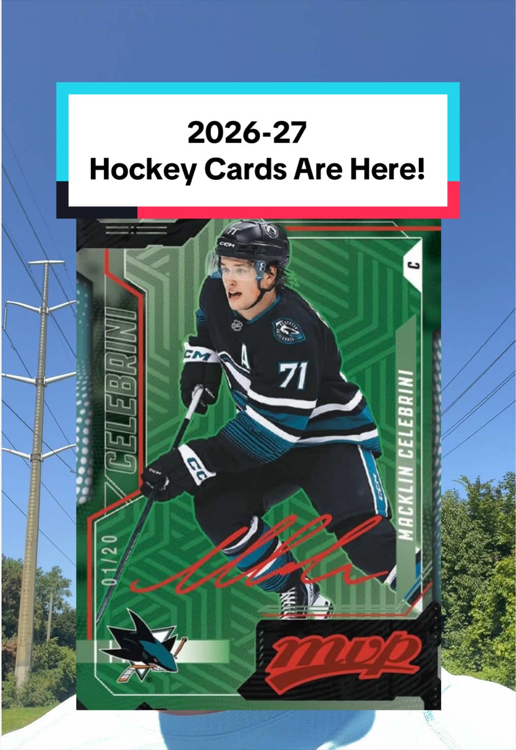 @hockeycarddad