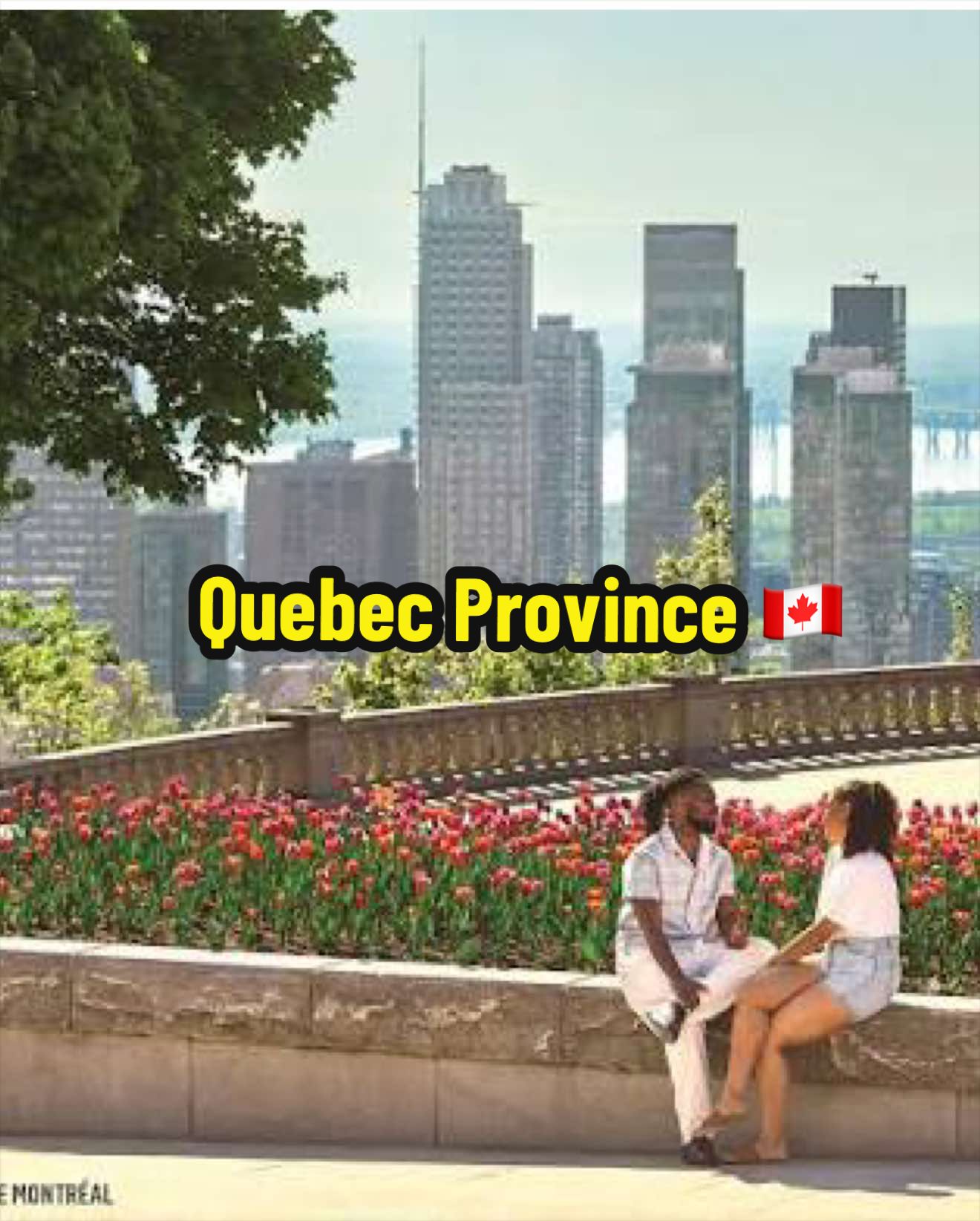 @Rasouli Reports 🇨🇦