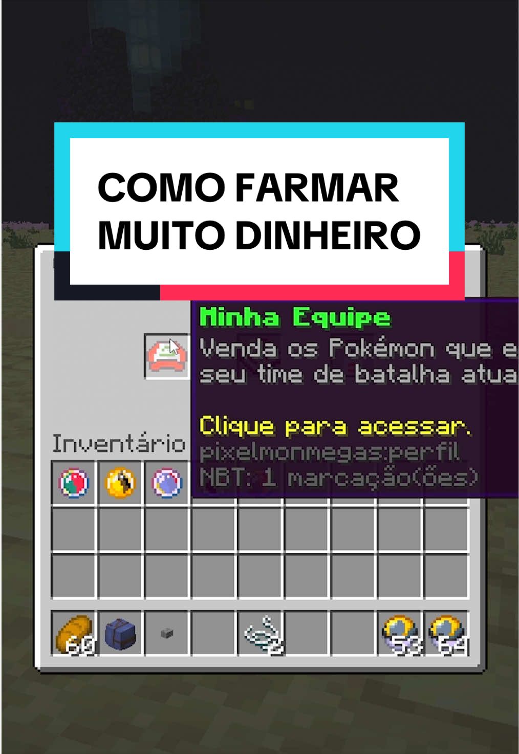 @NetPixelmon Oficial