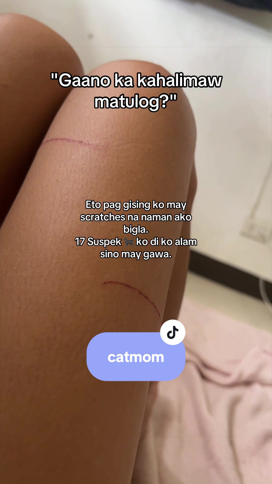 @17meows