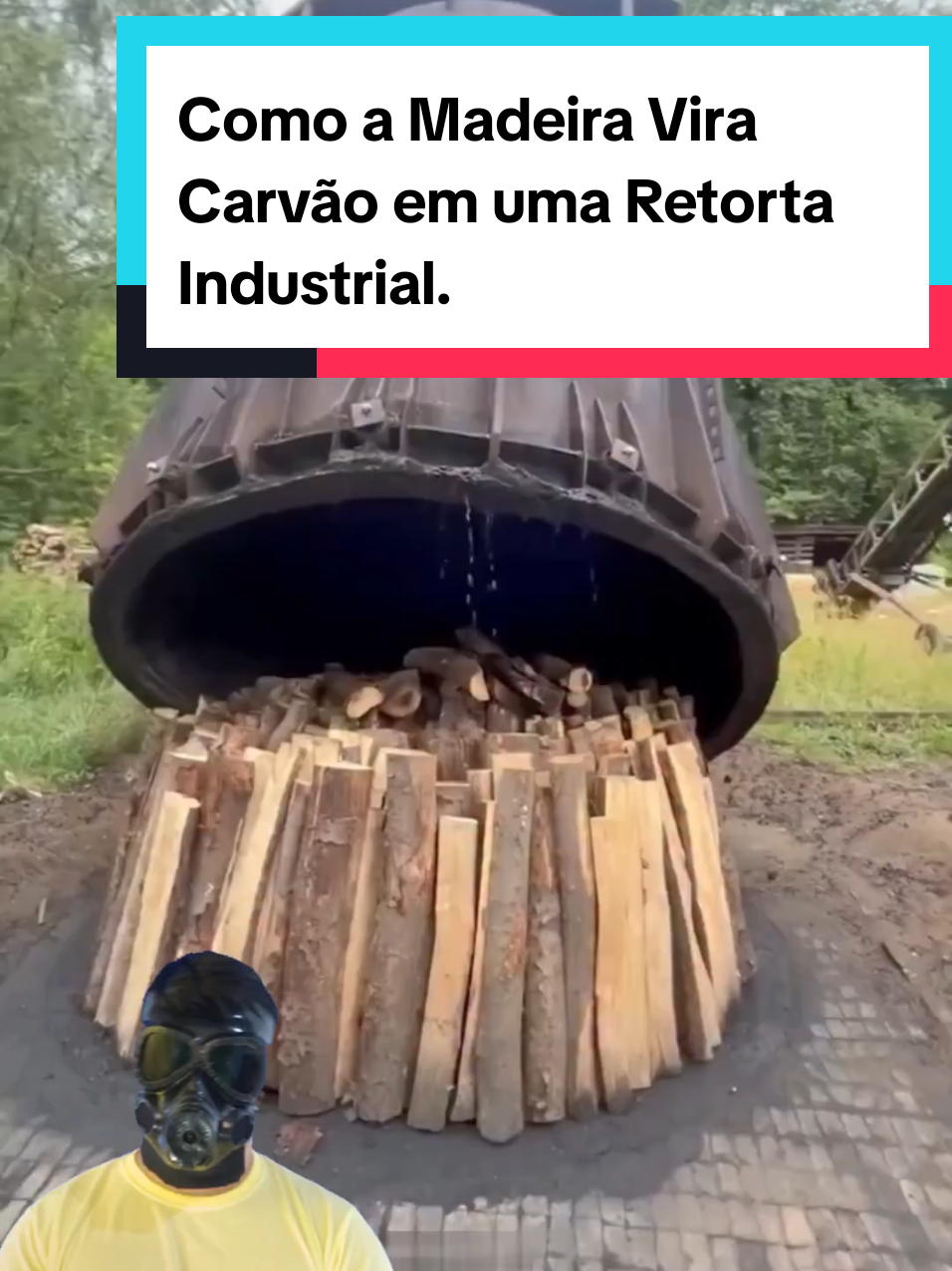 @Mundo da Curiosidades