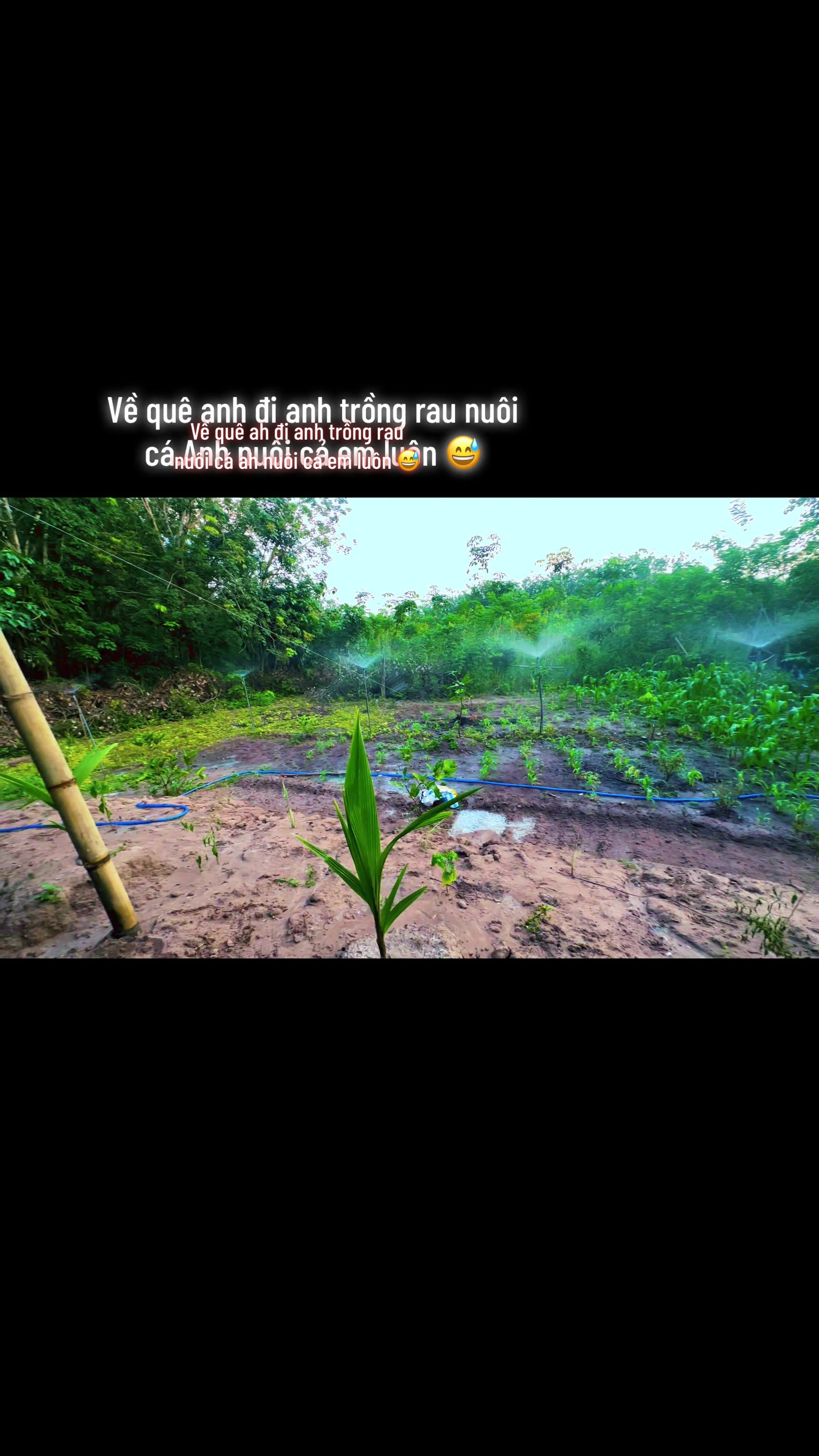 @kH&Aacute;NH@04🫀
