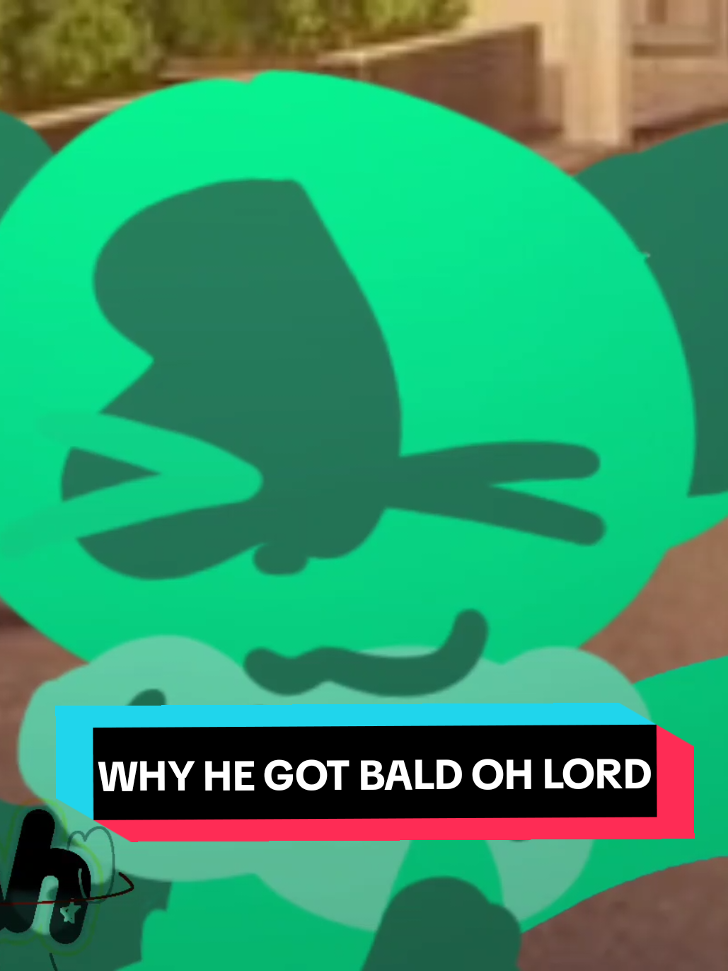 @Noah