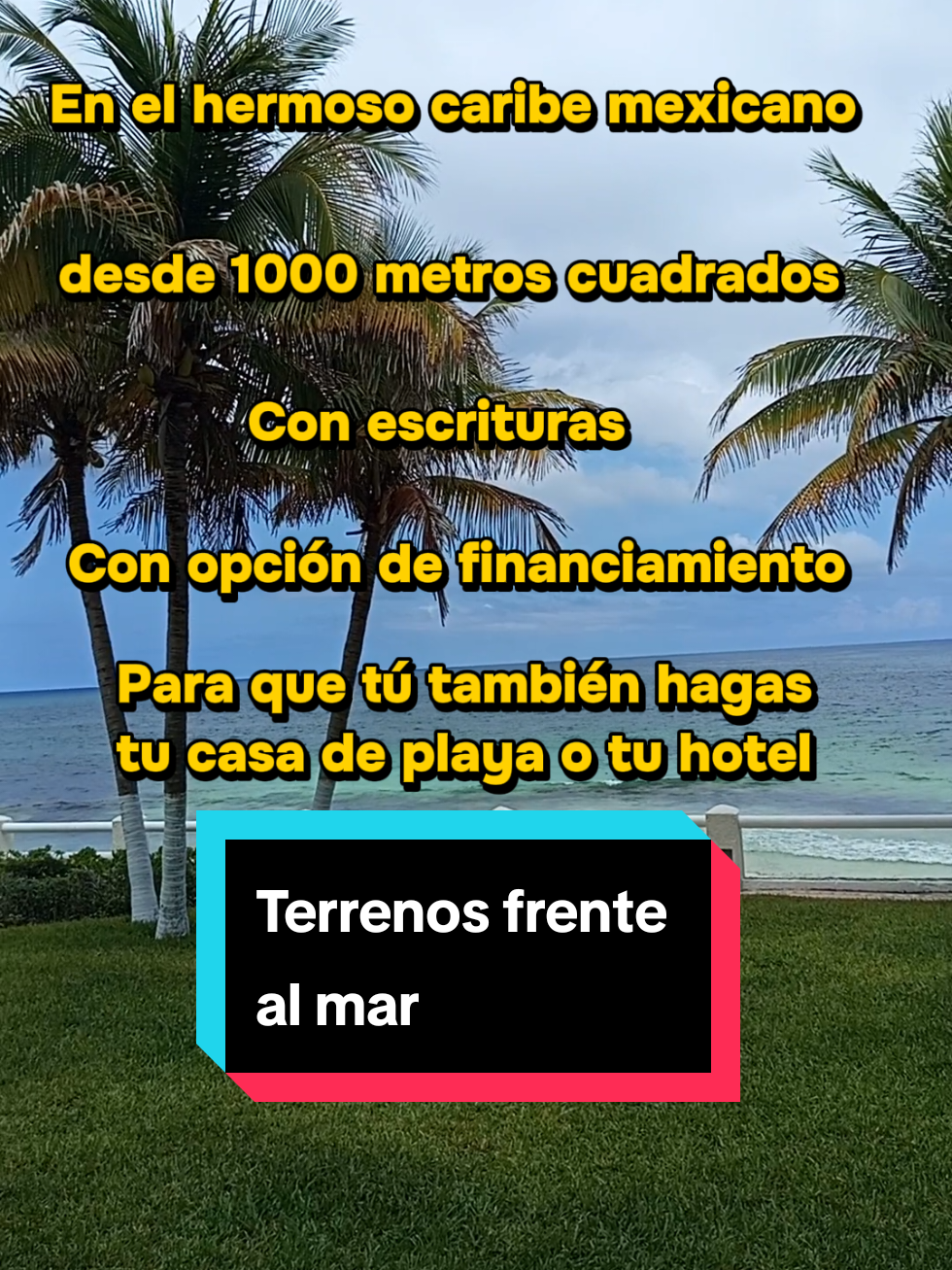 @Chris Cano BR